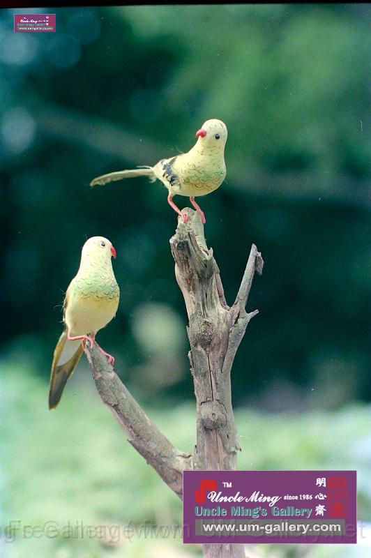 複製 -DSCN4562.JPG